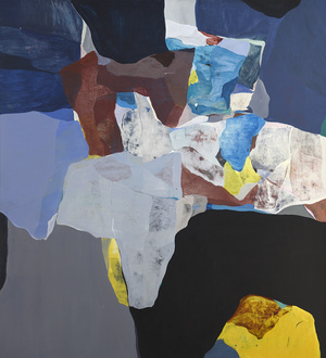 Vidvuds Zviedris (b. 1976)