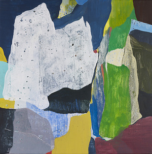 Vidvuds Zviedris (b. 1976)